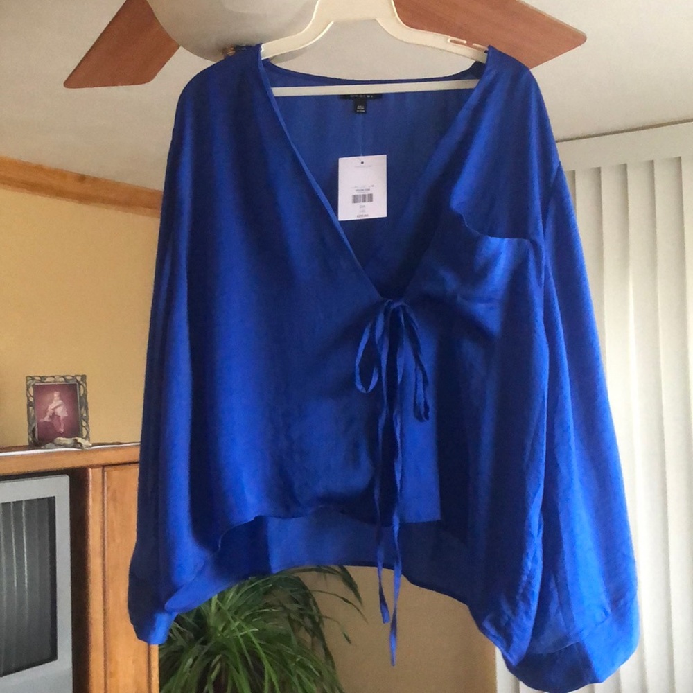 Blue Blouse